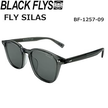 BLACK FLYS サングラス BF-14827-0194 BLACK/SILVER Black Flys Eyewear